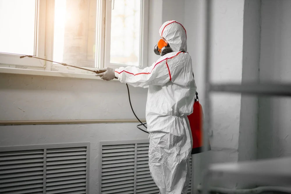 Professional mold remediation services in Amherst, OH